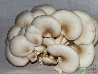 吃平菇有什么好處？平菇怎么做好吃？