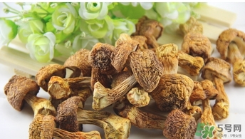 巴西蘑菇怎么吃？巴西蘑菇的作用與功效