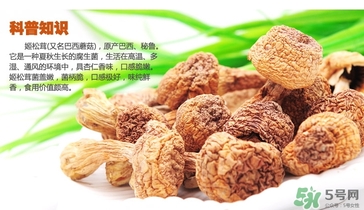 巴西蘑菇怎么吃？巴西蘑菇的作用與功效