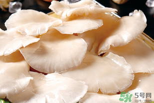 平菇怎么洗？平菇怎么洗才干凈？