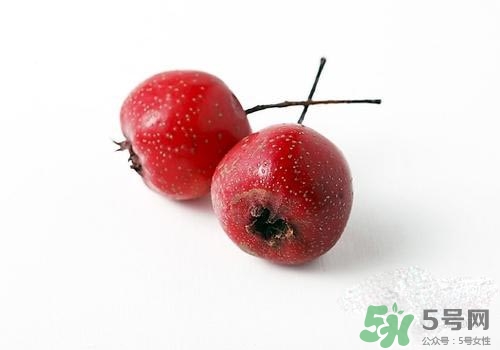 孕婦可以吃山楂嗎？孕婦吃山楂好嗎？