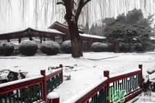 下雪天適合吃什么？下雪天吃什么食物好？