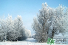 下雪天要打傘嗎？下雪天到底要不要打傘？