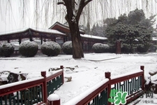 下雪高鐵會停運嗎？下雪天會影響高鐵嗎？