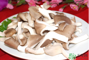 孕婦可以吃平菇嗎？孕婦吃平菇有什么好處？