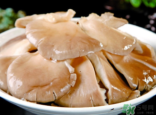平菇是發(fā)物嗎？平菇是不是發(fā)物？