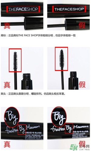 菲詩小鋪大肚子睫毛膏多少錢？菲詩小鋪大肚子睫毛膏專柜價
