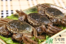 寶寶能吃螃蟹嗎？寶寶可以吃螃蟹肉嗎？