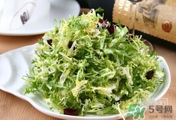 苦菊可以減肥嗎？苦菊怎么吃可以減肥？