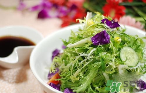 苦菊可以減肥嗎？苦菊怎么吃可以減肥？