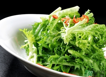 苦菊不能和什么一起吃？苦菊和什么一起吃好？