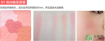 canmake花瓣腮紅珠光還是啞光好？canmake腮紅珠光好看還是啞光？