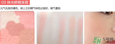 canmake花瓣腮紅珠光還是啞光好？canmake腮紅珠光好看還是啞光？