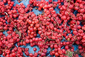 五味子茶韓國怎么喝？五味子茶的五種味道代表什么？