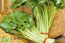 冬天可以吃空心菜嗎？冬天排毒多吃空心菜