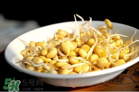 冬天可以發(fā)豆芽嗎？冬天怎樣發(fā)黃豆芽？