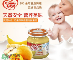 輔食泥哪個(gè)牌子好？輔食泥排行榜