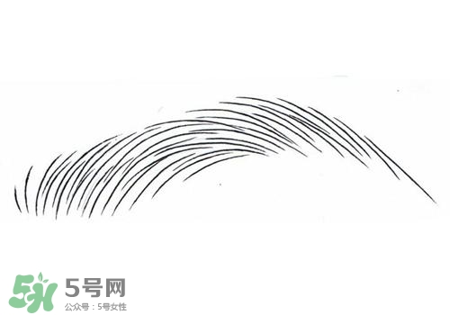 掉眉毛是怎么回事？掉眉毛還會(huì)長(zhǎng)嗎？