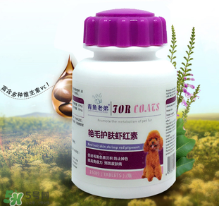 泰迪吃蝦紅素好嗎？蝦紅素的功效與作用