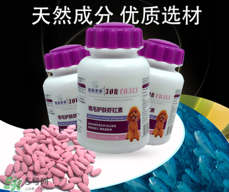 泰迪吃蝦紅素好嗎？蝦紅素的功效與作用