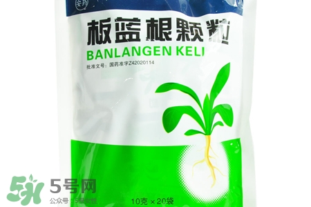 板藍根什么時候喝最好？板藍根一天中什么時間喝最好？