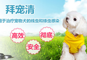 拜寵清要怎么喂？拜寵清驅(qū)蟲藥說明書