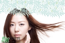 泊美是什么檔次？泊美屬于幾線品牌？