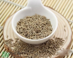 小茴香是孜然嗎？小茴香和孜然的區(qū)別