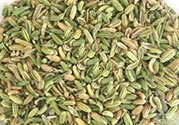 小茴香是孜然嗎？小茴香和孜然的區(qū)別
