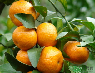 小橘子上火嗎？小橘子吃多了會(huì)上火嗎？
