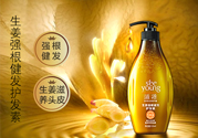 滋源洗發(fā)水怎么樣？滋源生姜洗發(fā)水怎么樣