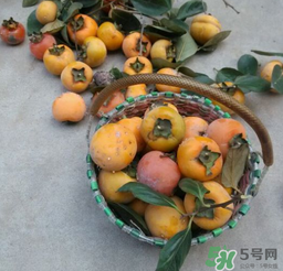 柿子長(zhǎng)白點(diǎn)還能吃嗎？柿子上有白點(diǎn)能吃嗎？