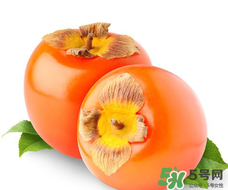 柿子籽能吃嗎？柿子籽的功效與作用