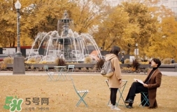 也許星星會帶走你的悲傷多少錢？也許星星會帶走你的悲傷價格