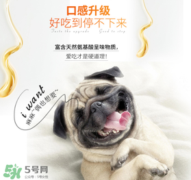狗狗營養(yǎng)膏什么牌子好？狗狗營養(yǎng)膏多少錢？