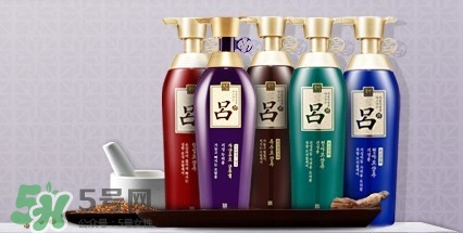 洗發(fā)水什么牌子好？洗發(fā)水2017品牌排行榜