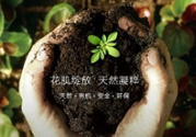 花肌粹護(hù)膚品怎么樣？花肌粹護(hù)膚品含激素嗎？
