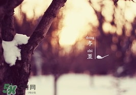 冬至要上墳嗎？冬至為什么要上墳？