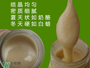 冬蜜是什么蜜？冬蜜的功效與作用
