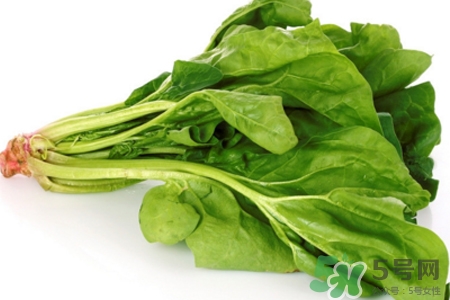 吃菠菜能喝牛奶嗎？菠菜和牛奶能一起吃嗎？
