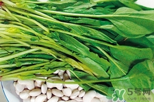 菠菜熱量高嗎？菠菜吃多了會發(fā)胖嗎？