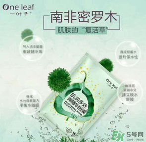一葉子是哪個國家的？一葉子面膜是哪個國家的？