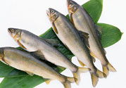 咽喉炎可以吃魚嗎？咽喉炎吃魚有什么好處？