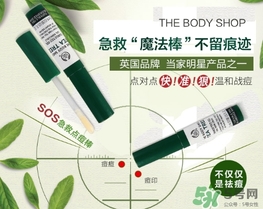the body shop茶樹急救棒怎么用？美體小鋪茶樹祛痘急救棒用法