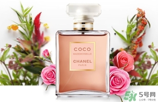香奈兒黑coco香水和白coco香水哪個好？香奈兒黑可可和白可可選擇