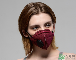 pm2.5口罩多少錢？pm2.5口罩價格