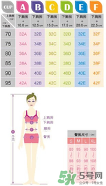 都市麗人內(nèi)衣怎么樣？都市麗人尺碼表