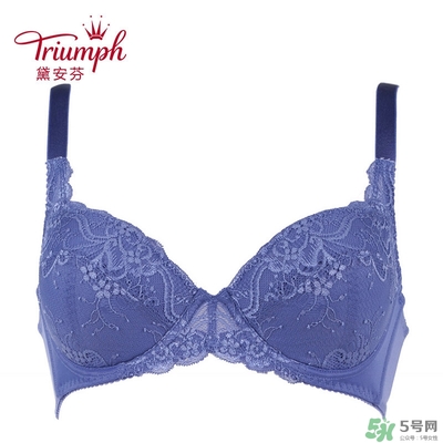 黛安芬內(nèi)衣怎么樣？黛安芬內(nèi)衣價格圖片
