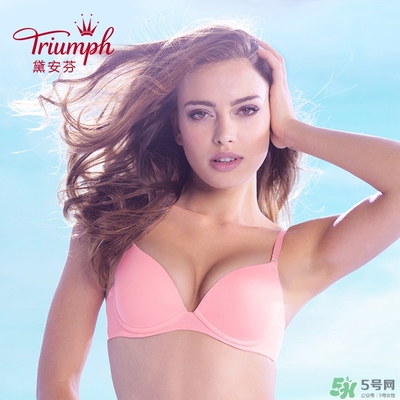 黛安芬內(nèi)衣怎么樣？黛安芬內(nèi)衣價格圖片