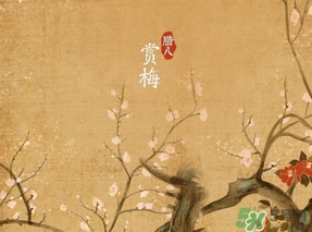 臘八節(jié)出生的女寶寶怎么取名？臘八節(jié)出生的男寶寶怎么取名？